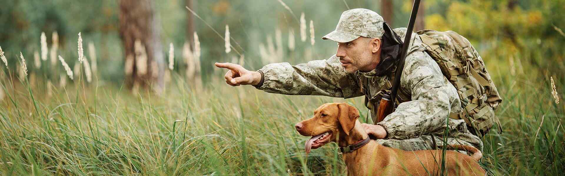 shutterstock_320006654